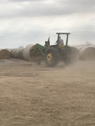 Unloading bales at David Clawson's. The dust is from his hay that burnt just days before.